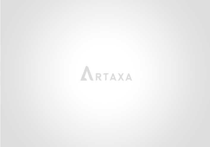 Your artaxa agencies Artaxa